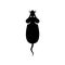 Mouse animal top view black silhouette