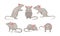 Mouse in Different Poses Vector Set. Small Rodent With Gray Coat and Long Tail