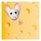 A mouse eating a piece of cheese