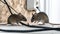 a mouse is gnawing on a wire inside an apartment house, set against the backdrop of a wall and electrical outlet