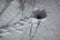 Mouse hole in winter with snow with traces in front of the entrance