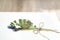 Mouse hyacinth and Easter egg. Small bouquet on a white background. wooden surface. Muscari. spring flowers