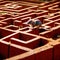 Mouse lost in maze, being trained to find a solution and exit