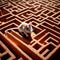 Mouse lost in maze, being trained to find a solution and exit