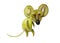 Mouse made of kiwi and apple