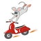 Mouse and motorbike, crazy vector illustration