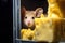 mouse peeking out from a cheese block in the fridge