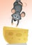 Mouse steals the cheese