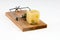 Mouse trap with cheese.