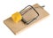 Mouse trap isolated on a white, clipping path