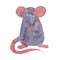 Mouse watercolour illustration. Funny icon of animal. Grey rat with pink ears isolated on white background. 2020 new