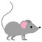 Mouse wild animal vector illustration