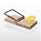 Mousetrap with euro money vector illustration
