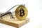 Mousetrap with gold bitcoin