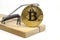 Mousetrap with gold bitcoin