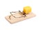 Mousetrap with piece of cheese