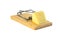 Mousetrap with a piece of cheese