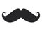 Moustache icon