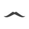 Moustache icon vector image.