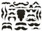 Moustache mustache icon isolated set.Funny fake moustaches for mouth mask vector collection. Vector illustration.