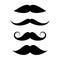 Moustache vector icon