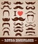 Moustaches set