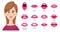 Mouth animation. Female lips keyframes lady speaks sound of english letters syncing articulation body teeth and tongue