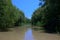 The mouth of the Danube overgrown with green cane with both sides of the River under blue skies