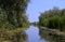 The mouth of the Danube overgrown with green cane with both sides of the River under blue skies