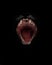 Mouth of a night demon,  catâ€™s jaws of a lynx isolated on a black background. swallow throat ready to devour prey, a symbol of