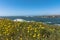 The Mouth of Noyo River, Fort Bragg, California;