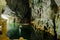 The mouth of Phong Nha cave with underground river, National Park, Vietnam