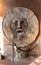 Mouth of truth Bocca della Verita