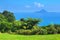 Moutohora, or Whale Island, in the Bay of Plenty, New Zealand