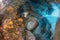 Move twist effect in camera with sea lion seal underwater while diving galapagos