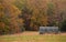 Moveable chicken coop in the fall