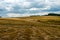 Moved field hay harvest yellow sky summer dry clouds