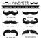 Movember mustache set