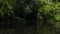 Movement along a quiet river with reflection of trees and sky in the water. Water lilies and reeds.