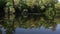 Movement along a quiet river with reflection of trees and sky in the water. Water lilies and reeds.