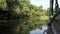 Movement along a quiet river with reflection of trees and sky in the water. Water lilies and reeds.