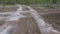 Movement along the sandy road in the tundra