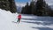 Movement back view woman skier skis down on ski slope among pine forest