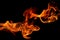 Movement of fire flames isolated on black background