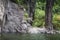 Movement of Long tailed macaque,monkey jumping from top of a rock mountain to play a water in a pool for relax from hot summer