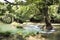 Movement motion and flowing of water at Chet Sao Noi small waterfalls at Muak Lek District in the Saraburi Province of Thailand