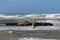 Movement and Stillness, Sea Waves and Choppy Sea in Windy Day: Windsurfer in Action and Elderly Woman