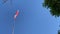 Movement of Thai flag against blue sky in the background