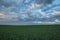 The movement of the thunderclouds over the fields of winter wheat in early spring in the vast steppes of the Don.