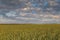 The movement of the thunderclouds over the fields of winter wheat in early spring in the vast steppes of the Don.